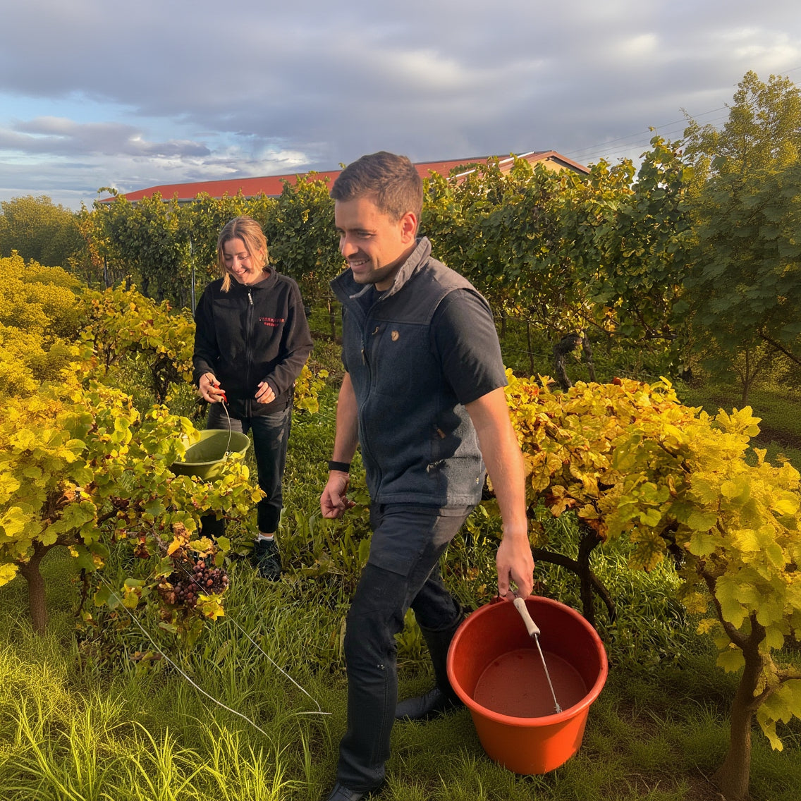 Tradition, die neue Wege geht: Das Weingut Oberhofer und VINSANS