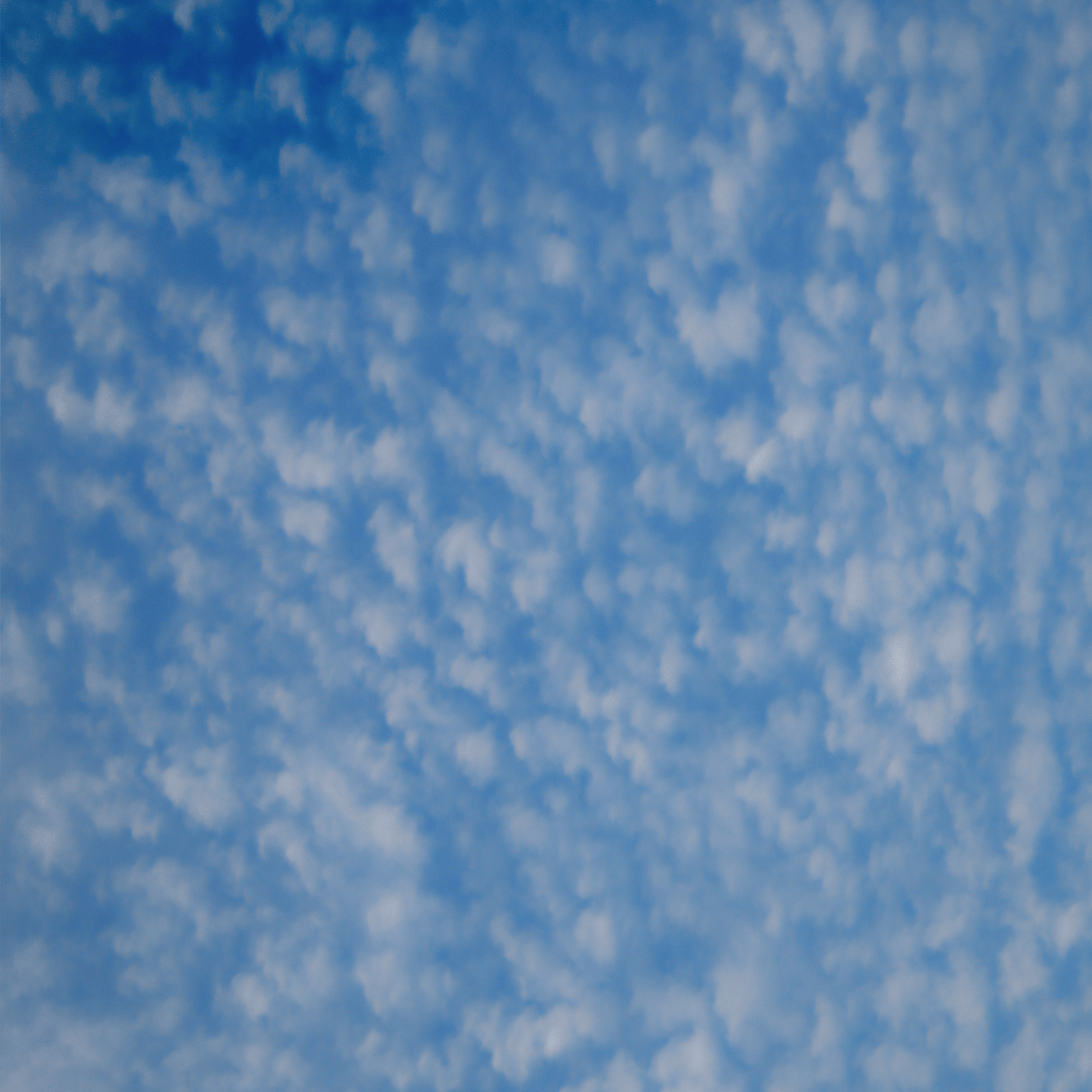 Daydreamer Sparkling
